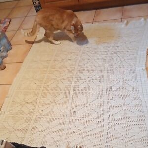Vintage Elegant Cream Crochet Throw with Geometric Pattern